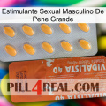 Big Penis Male Sexual Stimulant 43